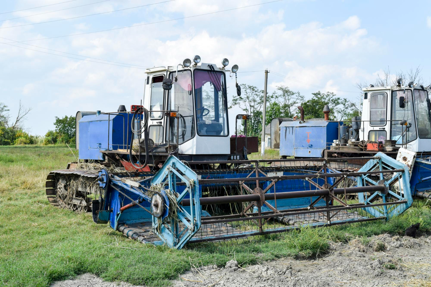 Locally Rooted. Reliability Delivered.