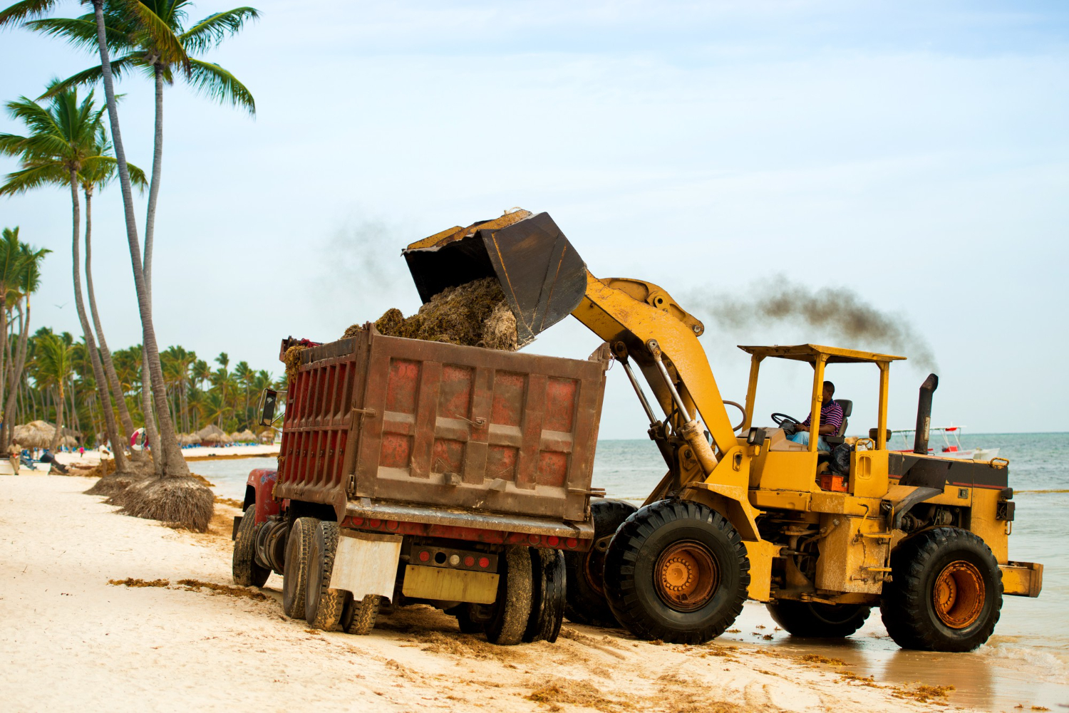Local Experts. Built on Hard Work.